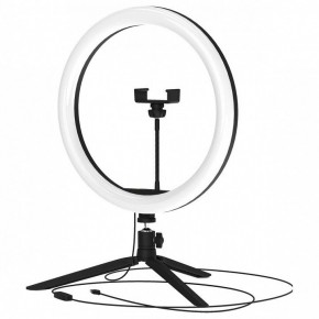 Настольная лампа кольцевая Gauss Ring Light RL003 в Карталах - kartaly.mebel24.online | фото