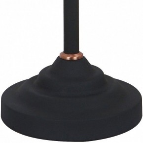Настольная лампа офисная Arte Lamp Braccio A2054LT-1BK в Карталах - kartaly.mebel24.online | фото 4