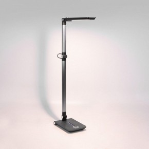 Настольная лампа офисная Elektrostandard Great a065290 в Карталах - kartaly.mebel24.online | фото 3