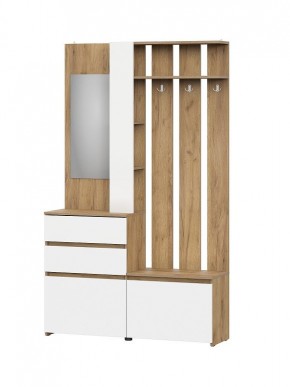 НЕКСТ 1 Вешалка с зеркалом + Шкаф 2-х ств. с ящиками в Карталах - kartaly.mebel24.online | фото 4