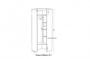 ОЛЬГА-МИЛК 9.1 Шкаф угловой без зеркала в Карталах - kartaly.mebel24.online | фото 2