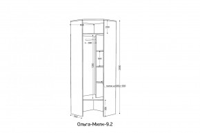 ОЛЬГА-МИЛК 9.2 Шкаф угловой с зеркалом в Карталах - kartaly.mebel24.online | фото 2