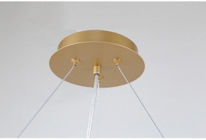 Подвесная люстра Favourite Ginkoa 4080-10P в Карталах - kartaly.mebel24.online | фото 9