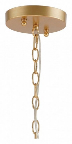 Подвесная люстра Favourite Mateo 2634-8P в Карталах - kartaly.mebel24.online | фото 12