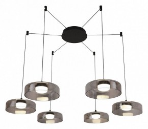 Подвесная люстра Favourite Platta 4490-6P в Карталах - kartaly.mebel24.online | фото