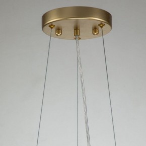 Подвесная люстра Favourite Rays 4058-14P в Карталах - kartaly.mebel24.online | фото 11