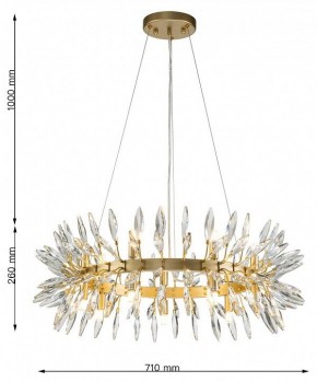 Подвесная люстра Favourite Rays 4058-14P в Карталах - kartaly.mebel24.online | фото 7