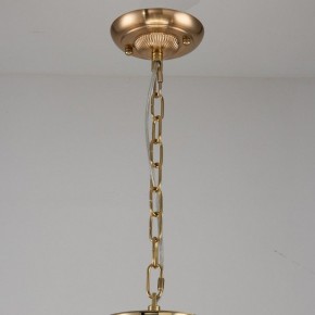 Подвесная люстра Favourite Rocca 2689-9P в Карталах - kartaly.mebel24.online | фото 2