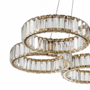 Подвесная люстра Indigo Favo V000074L в Карталах - kartaly.mebel24.online | фото 5