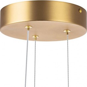 Подвесная люстра Lightstar Bergamo 745247 в Карталах - kartaly.mebel24.online | фото 6