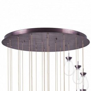 Подвесная люстра Lightstar Colore 805289 в Карталах - kartaly.mebel24.online | фото 6