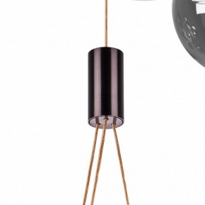 Подвесная люстра Lightstar Sferetta 801189 в Карталах - kartaly.mebel24.online | фото 10