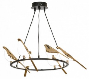 Подвесная люстра Lussole Jasper LSP-8641 в Карталах - kartaly.mebel24.online | фото 2