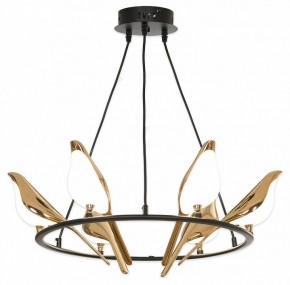 Подвесная люстра Lussole Jasper LSP-8641 в Карталах - kartaly.mebel24.online | фото 4