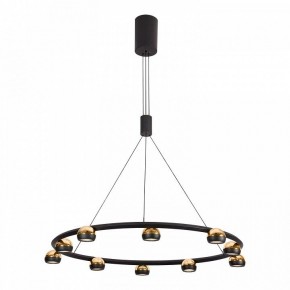 Подвесная люстра Lussole Lassen LSP-7253 в Карталах - kartaly.mebel24.online | фото 2
