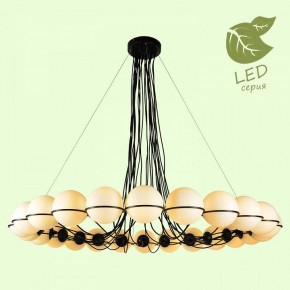 Подвесная люстра Lussole Seneca GRLSP-8176 в Карталах - kartaly.mebel24.online | фото 3