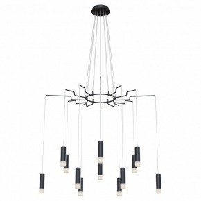 Подвесная люстра Maytoni Davida MOD035PL-12B в Карталах - kartaly.mebel24.online | фото 2