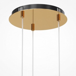 Подвесная люстра Maytoni Drop MOD273PL-L33G3K в Карталах - kartaly.mebel24.online | фото 6