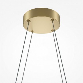 Подвесная люстра Maytoni Halo MOD244PL-L50BSK в Карталах - kartaly.mebel24.online | фото 4