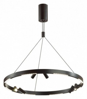 Подвесная люстра Odeon Light Beveren 6683/103L в Карталах - kartaly.mebel24.online | фото 2