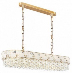 Подвесная люстра Odeon Light Chessi 5076/10 в Карталах - kartaly.mebel24.online | фото 2