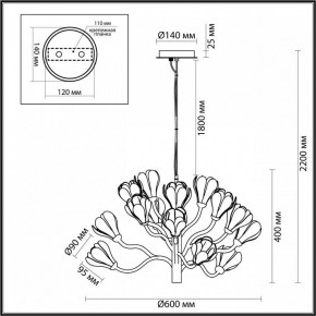Подвесная люстра Odeon Light Gardi 5090/15 в Карталах - kartaly.mebel24.online | фото 6