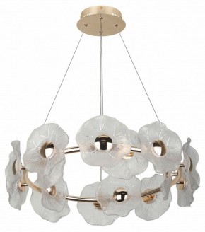 Подвесная люстра Rivoli Shannon Б0061947 в Карталах - kartaly.mebel24.online | фото 4