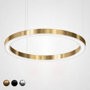 Подвесной светильник Imperiumloft Light Ring Horizontal 40.1454-100 в Карталах - kartaly.mebel24.online | фото