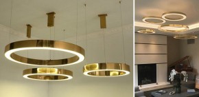 Подвесной светильник Imperiumloft Light Ring Horizontal 40.1454-80 в Карталах - kartaly.mebel24.online | фото 2