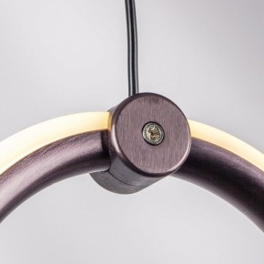 Подвесной светильник Lightstar Caramello 796169 в Карталах - kartaly.mebel24.online | фото 10
