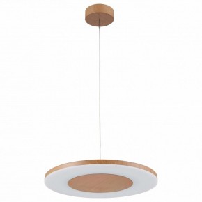 Подвесной светильник Mantra Discobolo 4493 в Карталах - kartaly.mebel24.online | фото 2