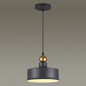 Подвесной светильник Odeon Light Bolli 4088/1 в Карталах - kartaly.mebel24.online | фото 4