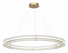 Подвесной светильник ST-Luce FAGY SL6245.213.01 в Карталах - kartaly.mebel24.online | фото 4