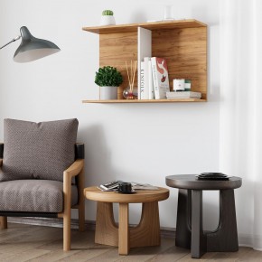 Полка Ион-3 (крафт/белый) в Карталах - kartaly.mebel24.online | фото 3