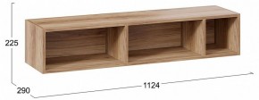 Полка навесная ТД-102.28 в Карталах - kartaly.mebel24.online | фото 9
