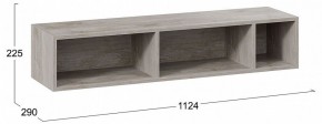 Полка навесная ТД-102.28 в Карталах - kartaly.mebel24.online | фото 8