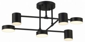 Потолочная люстра EVOLUCE Nobel SLE201042-06 в Карталах - kartaly.mebel24.online | фото 10