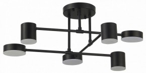 Потолочная люстра EVOLUCE Nobel SLE201042-06 в Карталах - kartaly.mebel24.online | фото 11