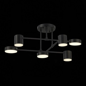 Потолочная люстра EVOLUCE Nobel SLE201042-06 в Карталах - kartaly.mebel24.online | фото 13