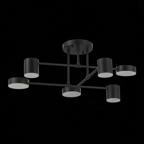 Потолочная люстра EVOLUCE Nobel SLE201042-06 в Карталах - kartaly.mebel24.online | фото 14