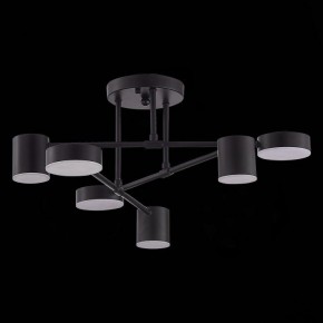 Потолочная люстра EVOLUCE Nobel SLE201042-06 в Карталах - kartaly.mebel24.online | фото 2