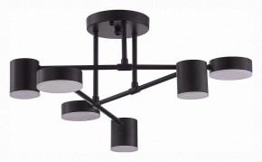 Потолочная люстра EVOLUCE Nobel SLE201042-06 в Карталах - kartaly.mebel24.online | фото 3