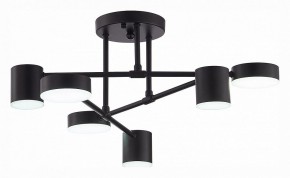 Потолочная люстра EVOLUCE Nobel SLE201042-06 в Карталах - kartaly.mebel24.online | фото 5