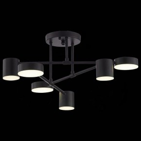 Потолочная люстра EVOLUCE Nobel SLE201042-06 в Карталах - kartaly.mebel24.online | фото 6