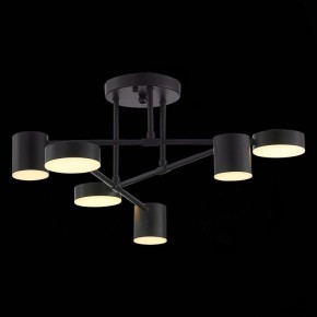 Потолочная люстра EVOLUCE Nobel SLE201042-06 в Карталах - kartaly.mebel24.online | фото 7