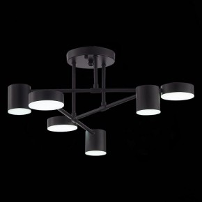 Потолочная люстра EVOLUCE Nobel SLE201042-06 в Карталах - kartaly.mebel24.online | фото 9