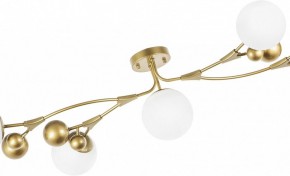 Потолочная люстра Lightstar Croco 815553 в Карталах - kartaly.mebel24.online | фото 6