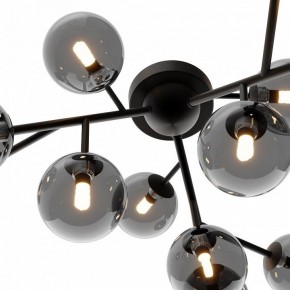 Потолочная люстра Maytoni Dallas MOD545CL-12B в Карталах - kartaly.mebel24.online | фото 3