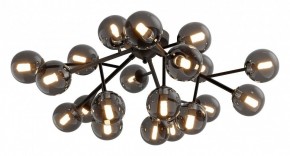 Потолочная люстра Maytoni Dallas MOD545CL-20B в Карталах - kartaly.mebel24.online | фото 2