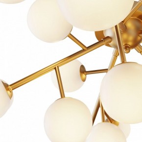 Потолочная люстра Maytoni Dallas MOD545CL-20BS в Карталах - kartaly.mebel24.online | фото 2
